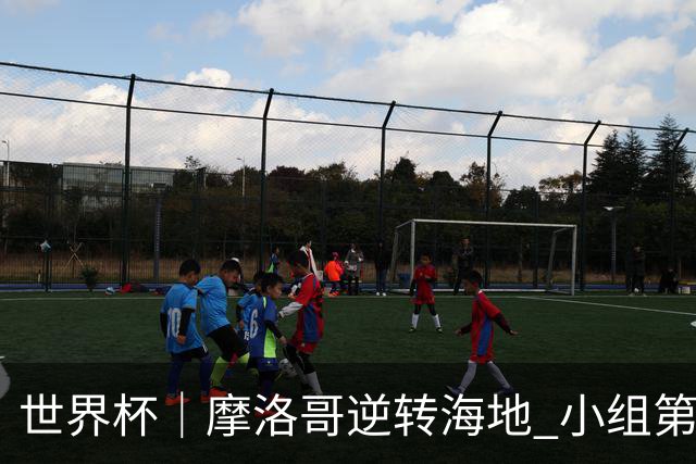 世界杯｜摩洛哥逆转海地 小组第二晋级32强