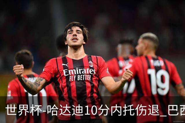 世界杯-哈达迪10分内托伤退 巴西大胜伊朗41分